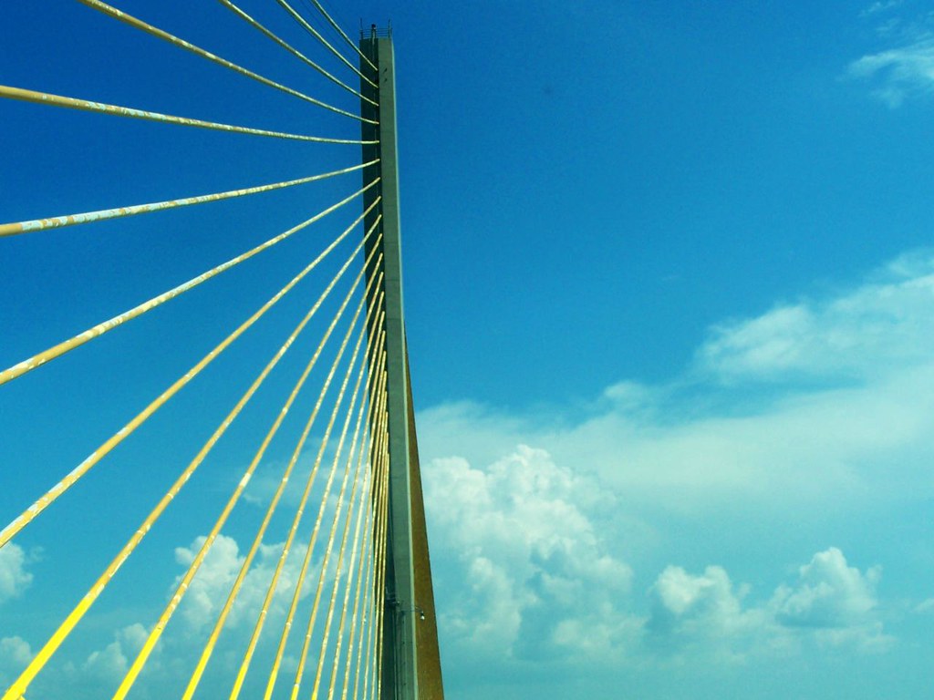 Why Florida law firms choose SEO Specialist USA