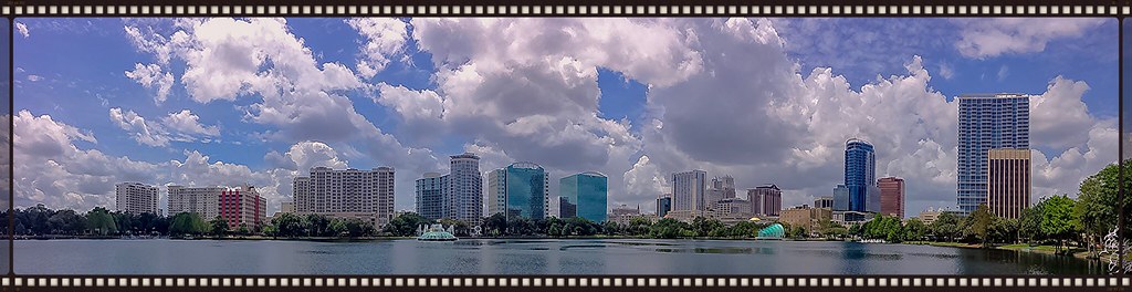 Why Florida businesses choose SEO Specialist USA
