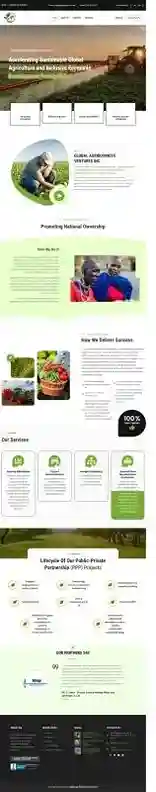 Conversion-Focused Site